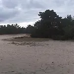 Na Wydmach. Spokój. Cisza. Dookoła Apartamento Hel