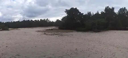 Na Wydmach. Spokoj. Cisza. Dookola Lejlighed Hel
