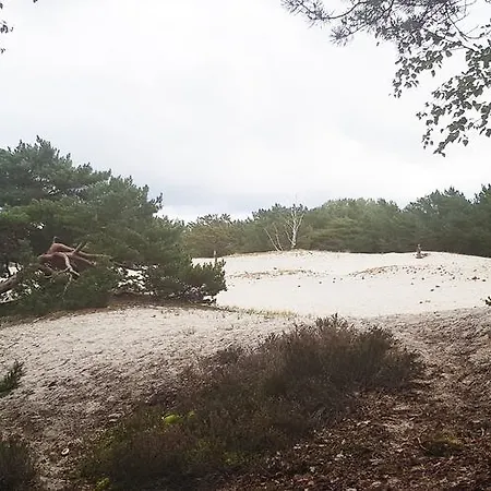 Na Wydmach. Spokoj. Cisza. Dookola Appartement *