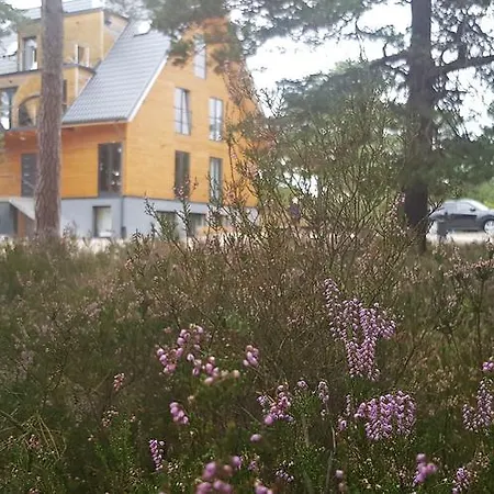 Na Wydmach. Spokoj. Cisza. Dookola Appartement