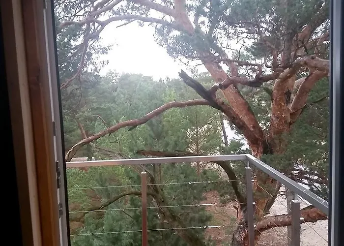 Apartament Na Wydmach. Spokój. Cisza. Dookoła