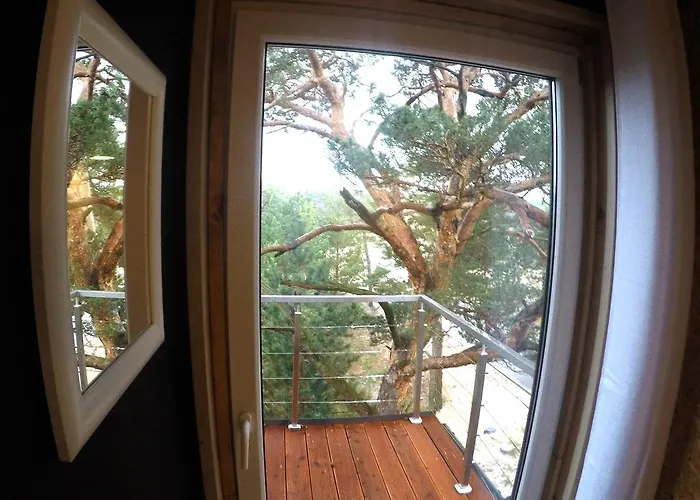 Na Wydmach. Spokój. Cisza. Dookoła Hel