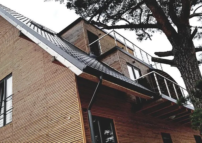 Na Wydmach. Spokój. Cisza. Dookoła *