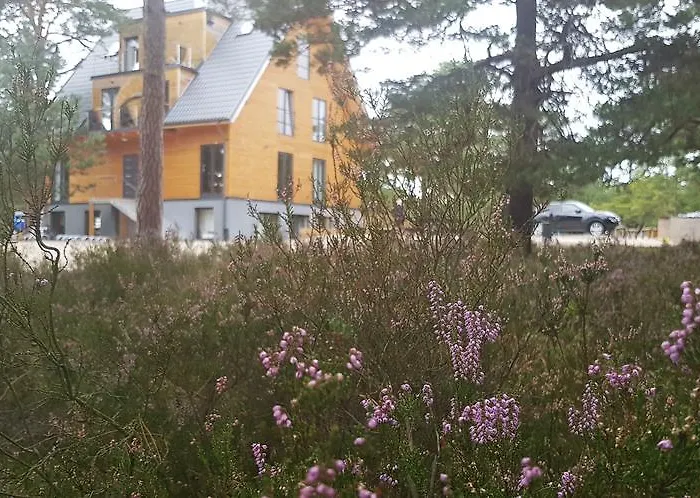 Na Wydmach. Spokój. Cisza. Dookoła Apartament